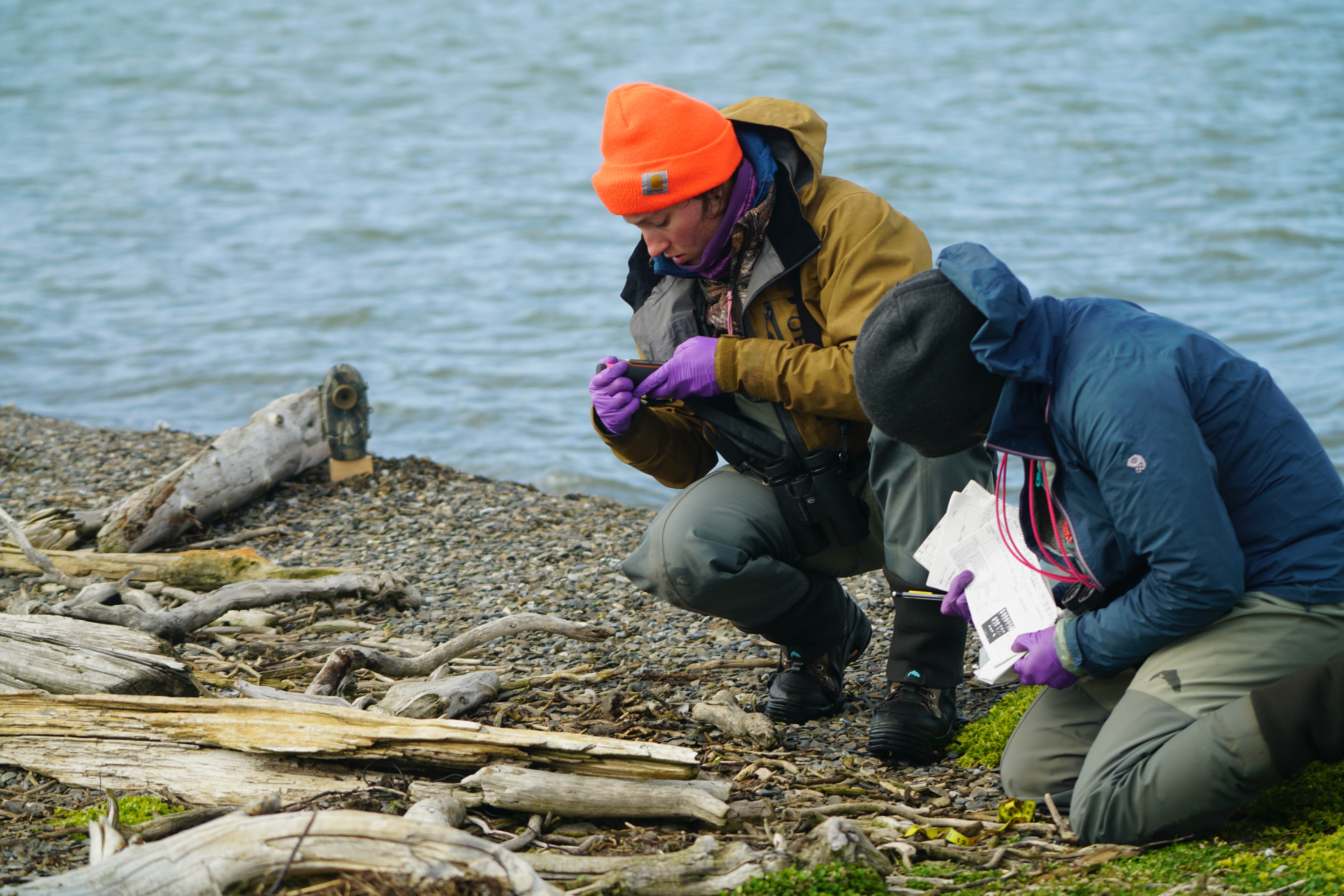 Misleading The Public Anwr Debate Flared Up Again