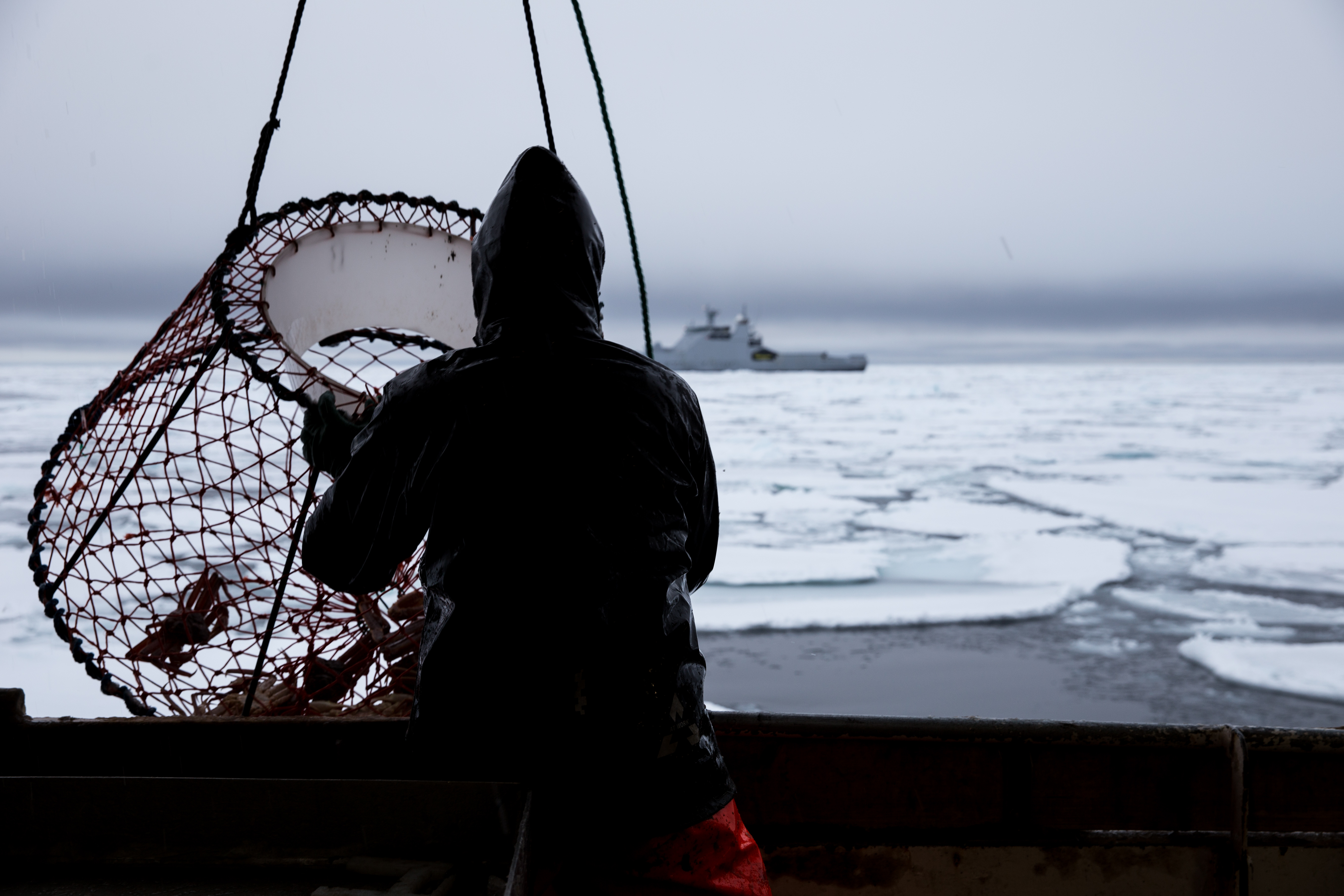 Victory for the Norwegian State in the Case of Snow Crab Fishing off  Svalbard