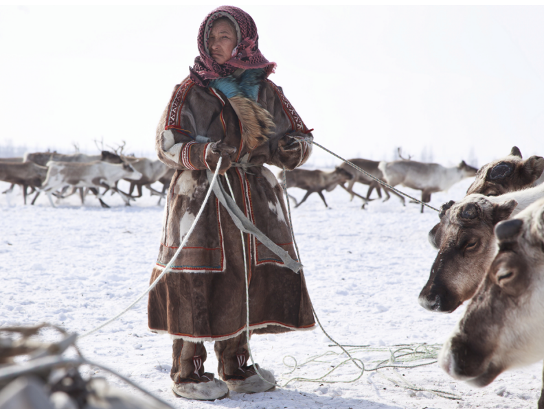 Sami woman reindeer hearder. (Photo: The Arctic 2050 report) Sami woman reindeer hearder. (Photo: The Arctic 2050 report)