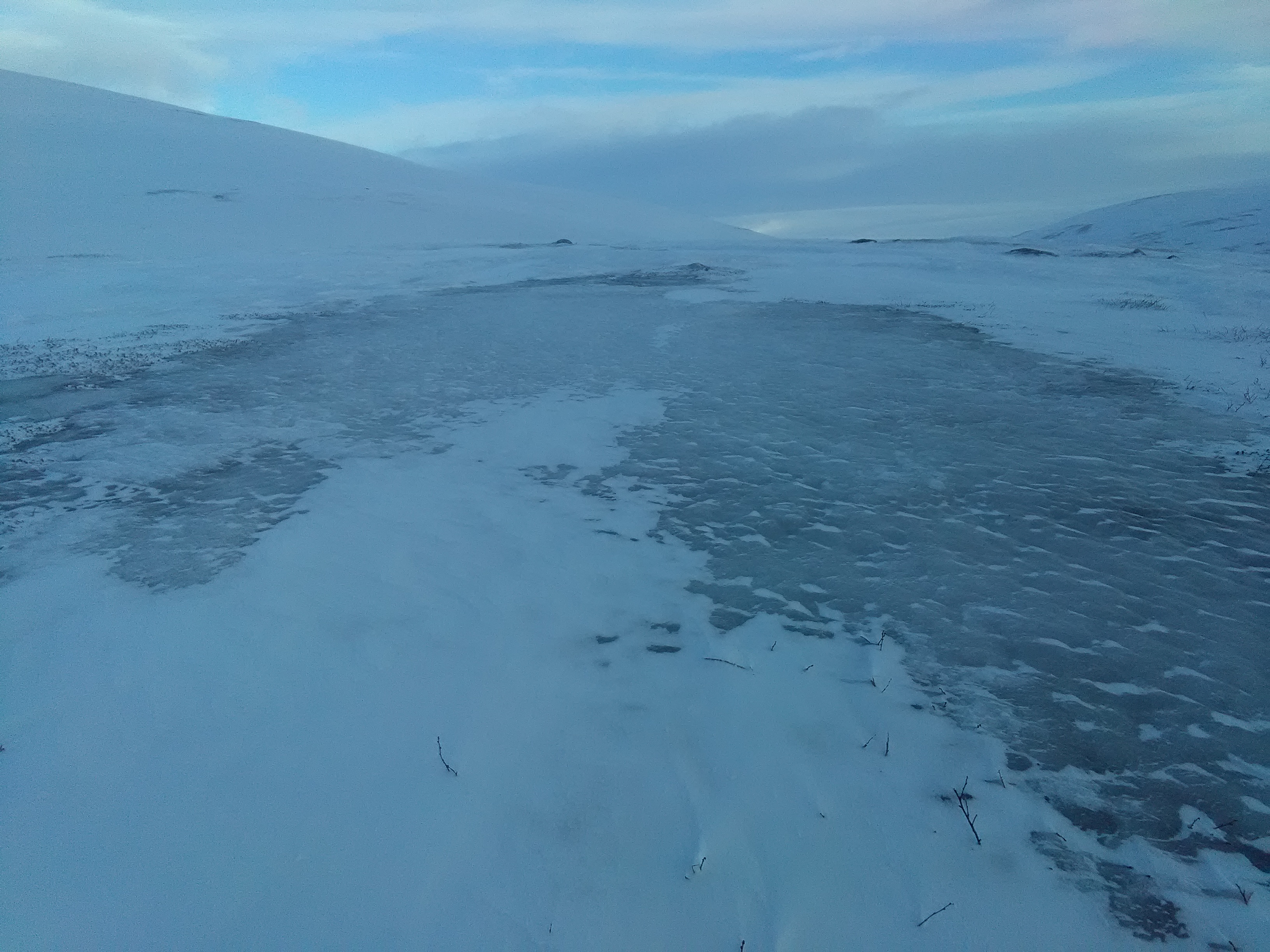 Rolf Ims og Nigel Yoccoz forteller om vanskelige forhold i den arktiske vinteren, hvor is dekker beitet og dyrene ikke finner mat. Her er isdekket tundra på Varangerhalvøya. (Foto: Jan Erik Knutsen) Isdekket tundra på Varangerhalvøya.