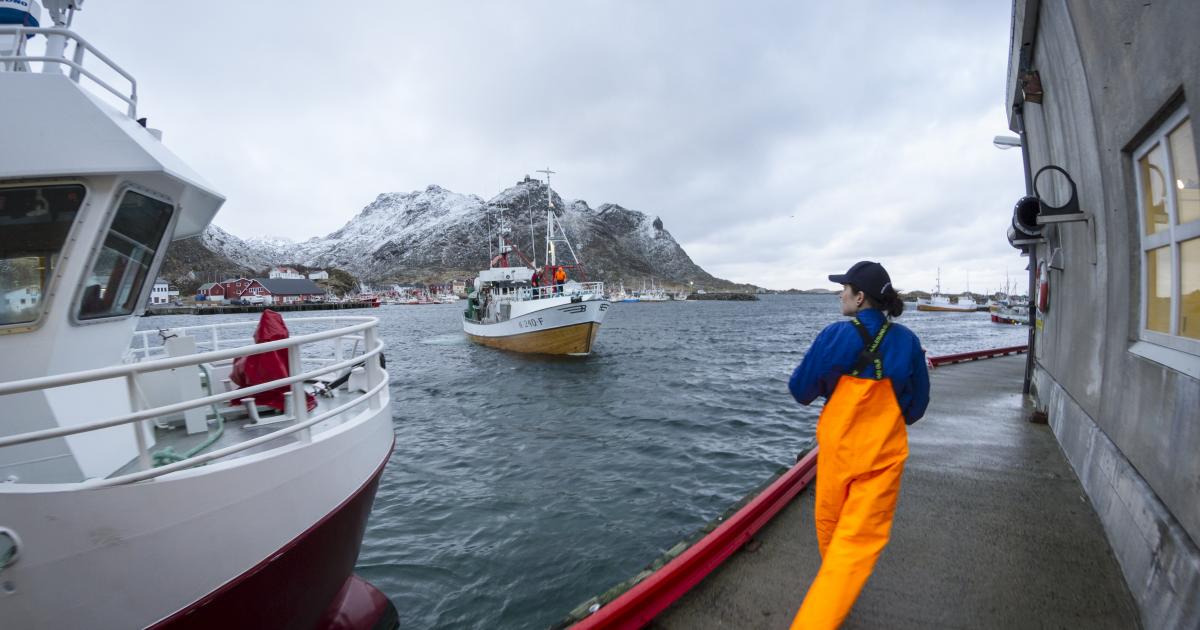 Russia Downscales Parts of Fisheries Cooperation