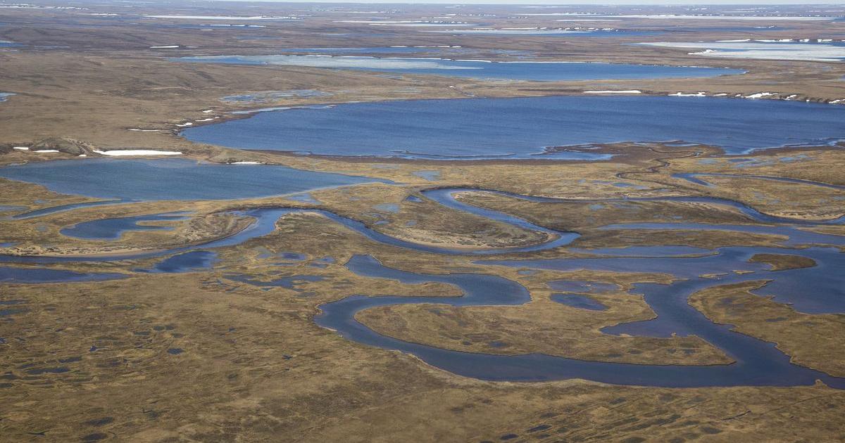 Largest ever lease sale in Alaska’s Arctic petroleum reserve