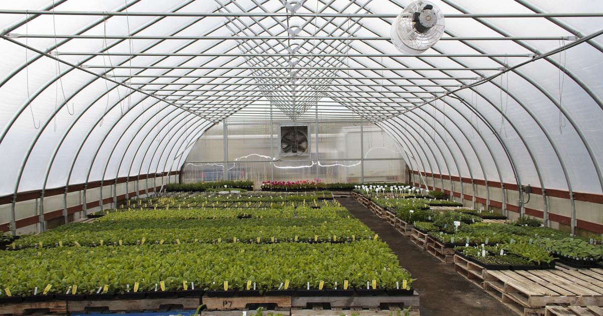 Alaska Greenhouse Energy Rebate