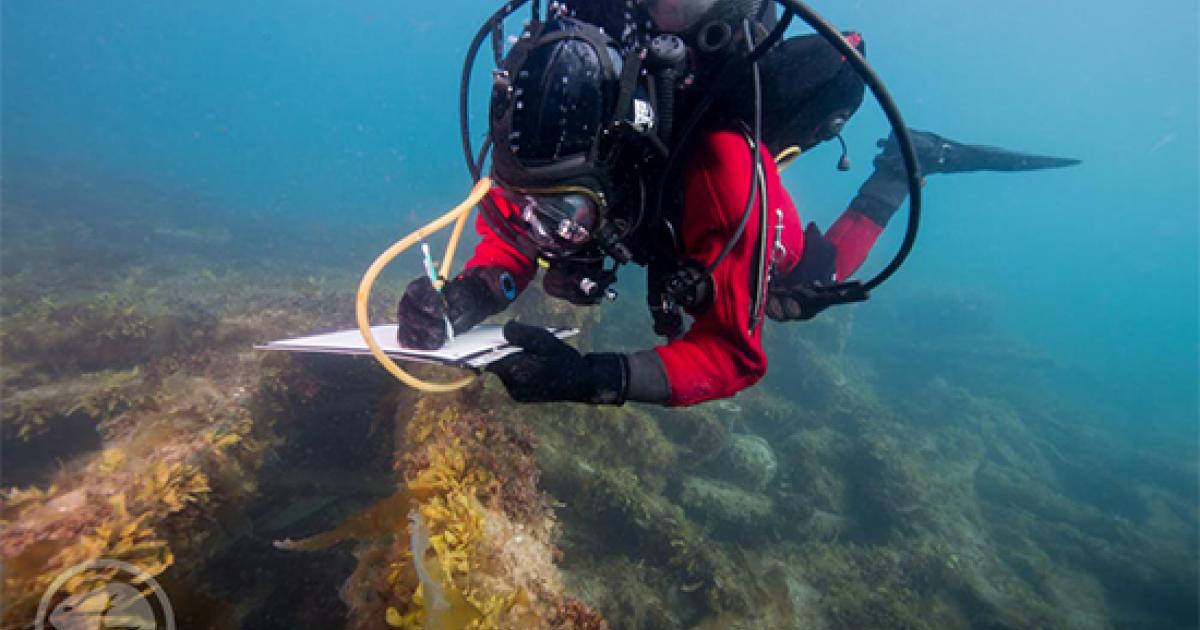 Underwater Archeology Team Seeks New Clues to an Old Arctic Mystery