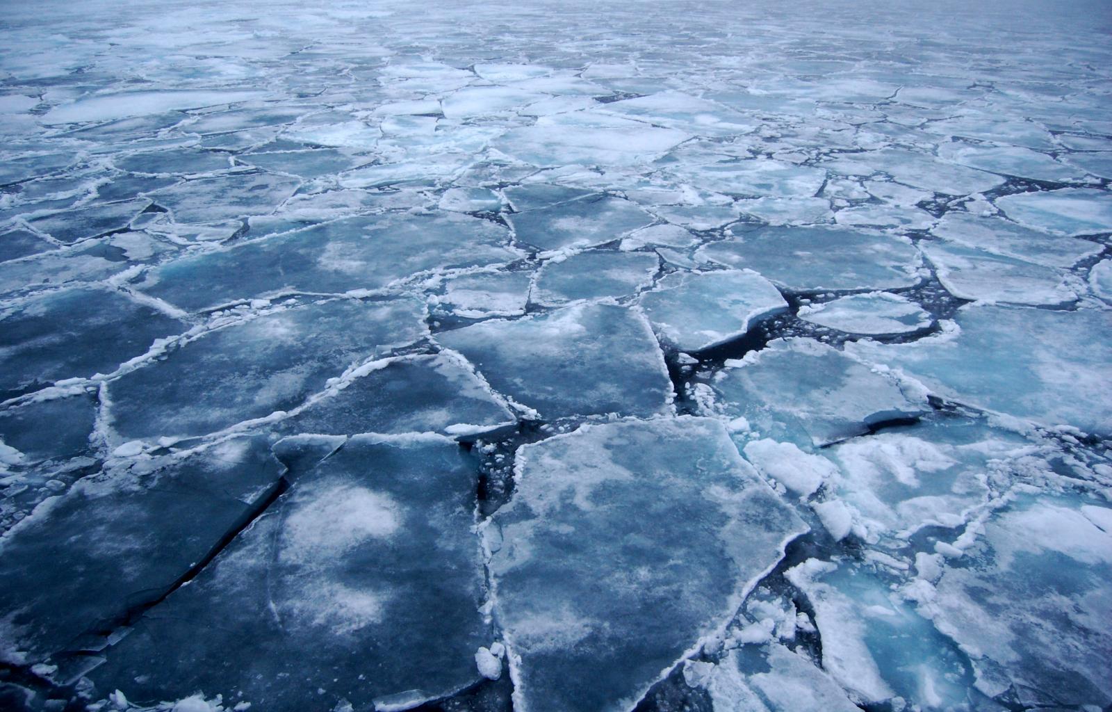 Wintertime Sea Ice Growth Complicates the Arctic's Big Melt Narrative