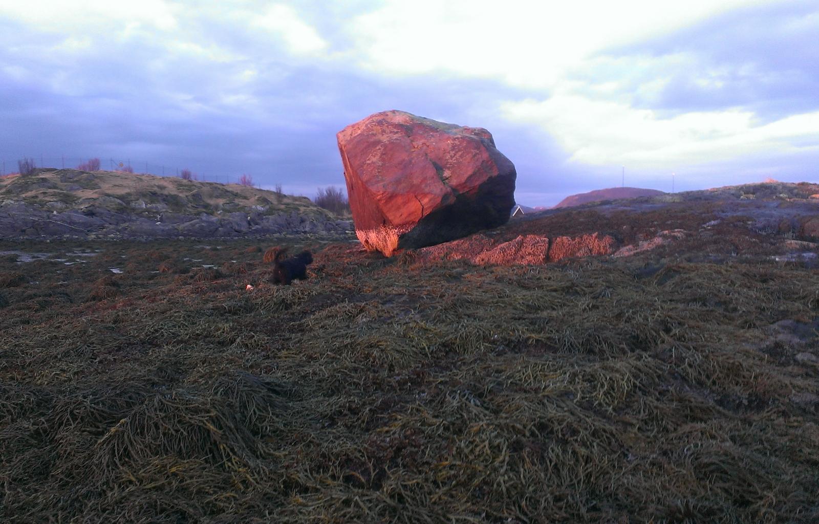 Newsletter A Trembling Giant