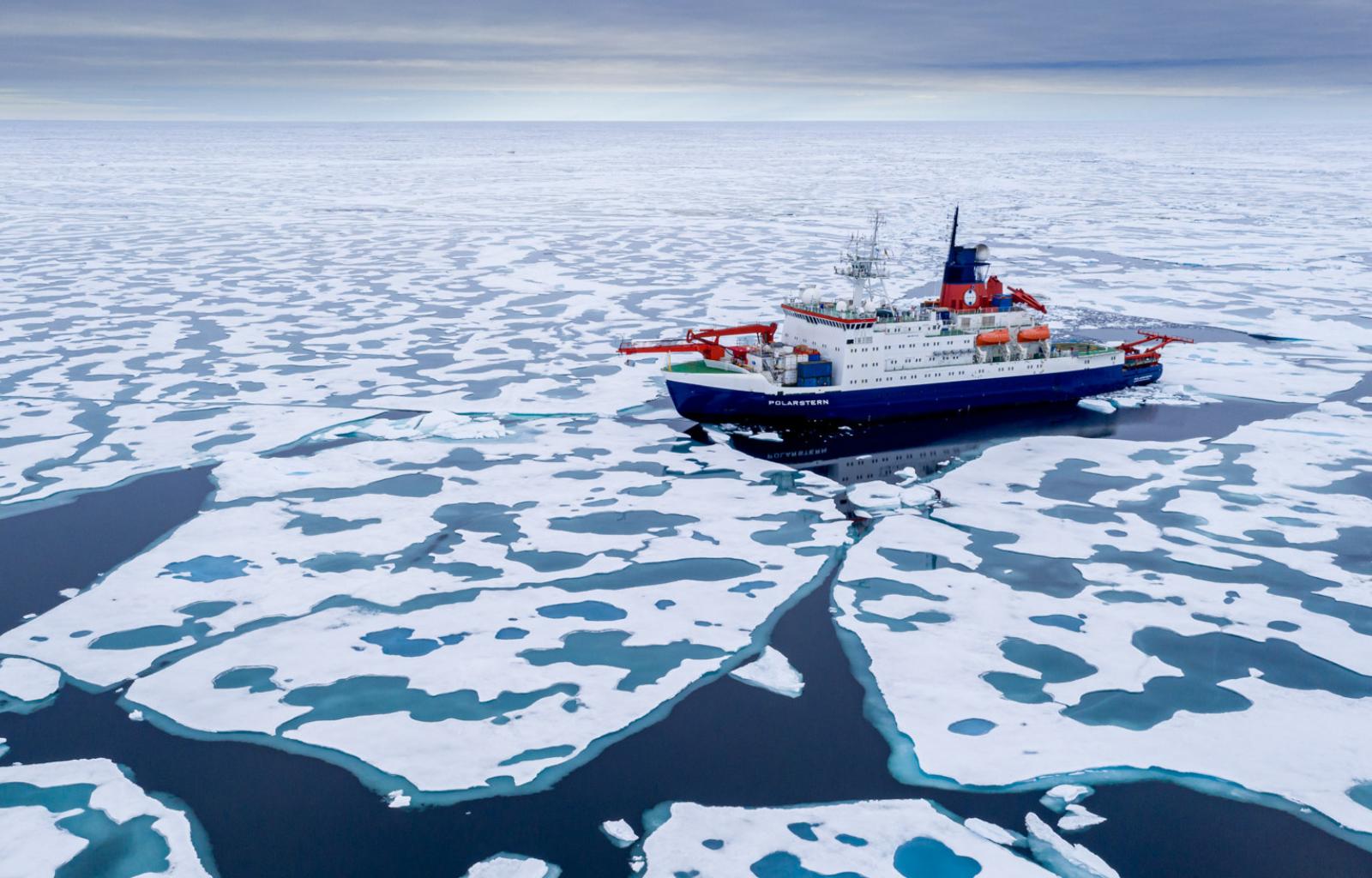 International Mosaic Arctic Expedition Reaches North Pole Get inspired by these amazing mosaic logos created by professional designers. international mosaic arctic expedition