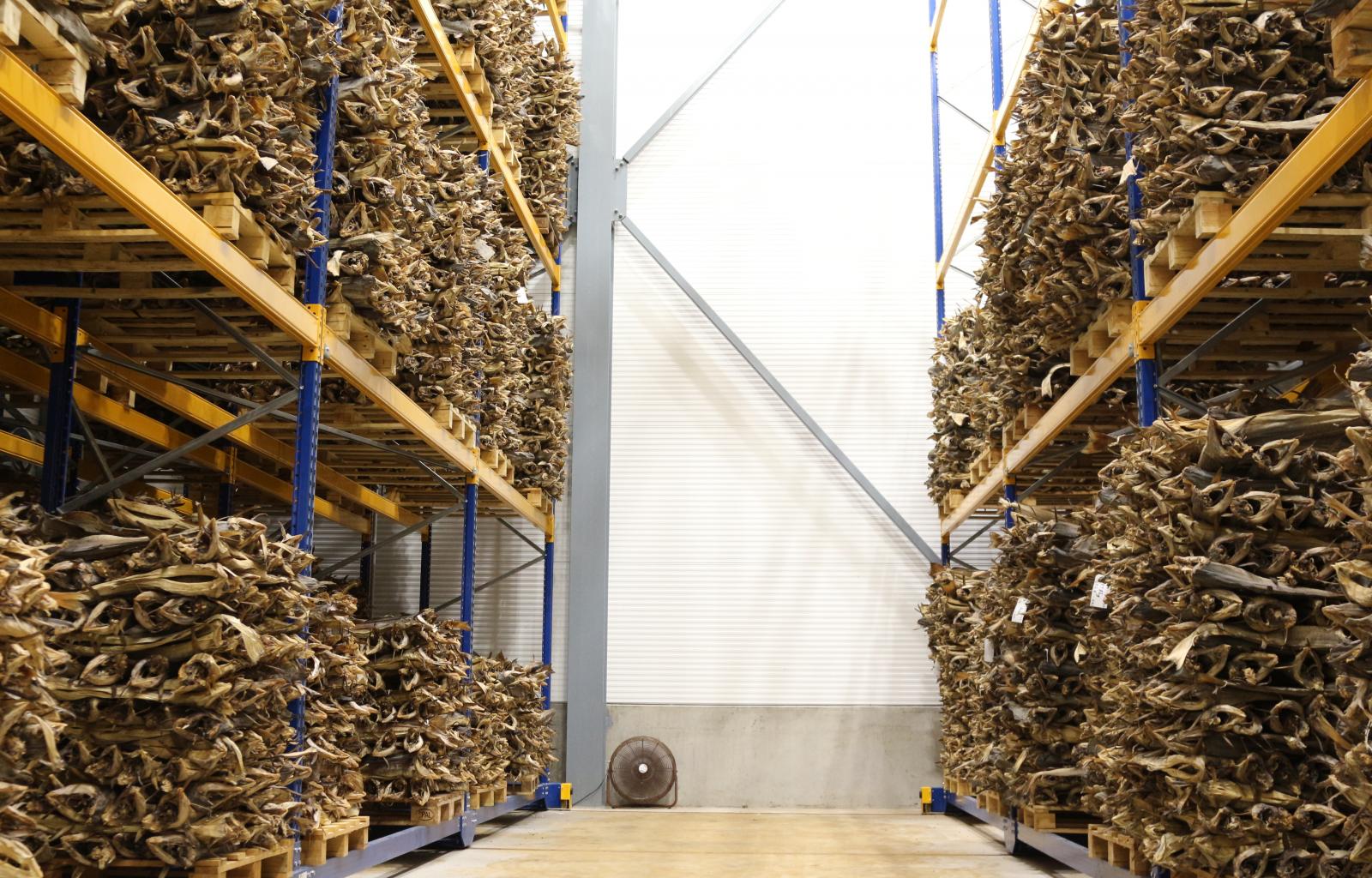 Indoor production of stockfish - Nofima