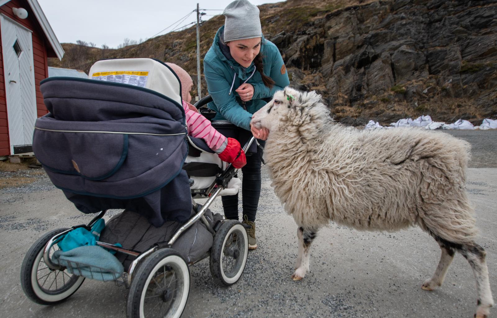 Marit Skogsholm på Vokkøya