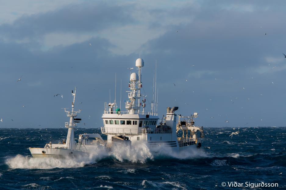 Senter for hav og Arktis skal, i samarbeid med DNV GL, kartlegge tilstanden i havnæringene i nord - og legge frem rapporter som også peker på fremtidens muligheter med havet som kilde. (Foto: Vidar Sigurdsson).