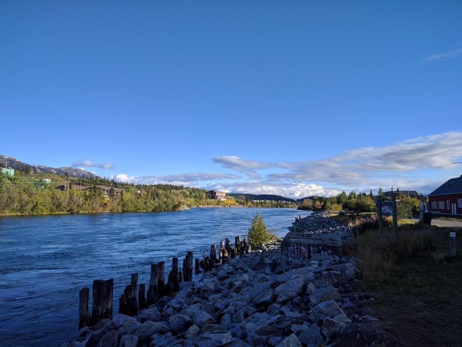 Yukon. A view of the Yukon River as it runs through downtown Whitehorse, Yukon. (Photo: Desiree Hauswald for High North News)