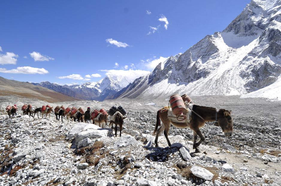 How The Arctic And The Hindu Kush Himalaya Regions Are Working To Combat Climate Change