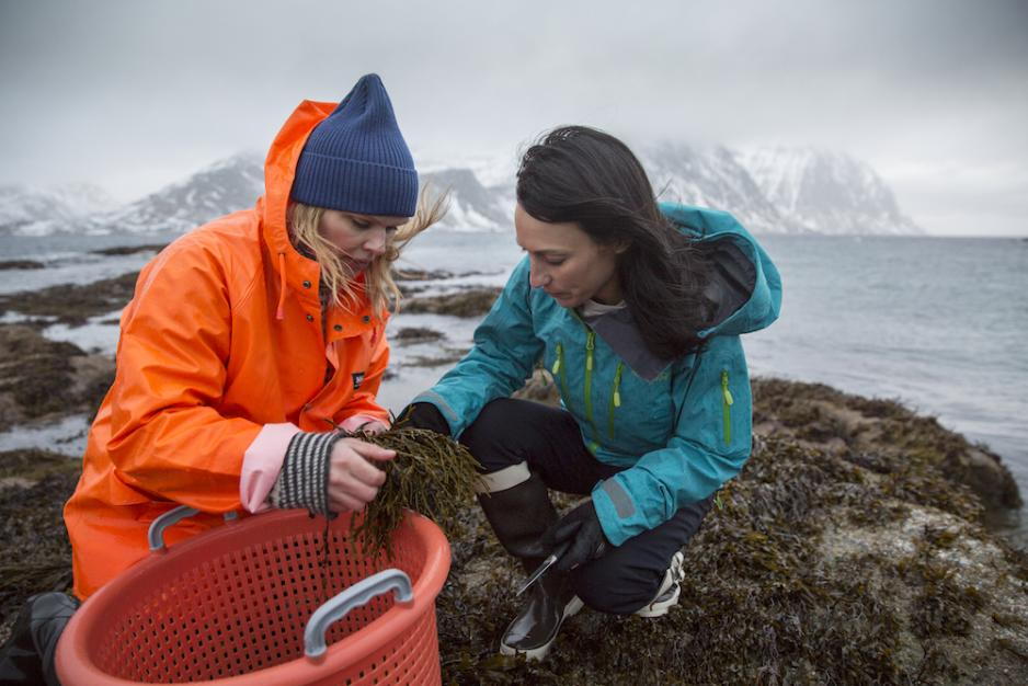 Lofoten Seaweed Angelita Eriksen og Tamara Singer i Lofoten Seaweed