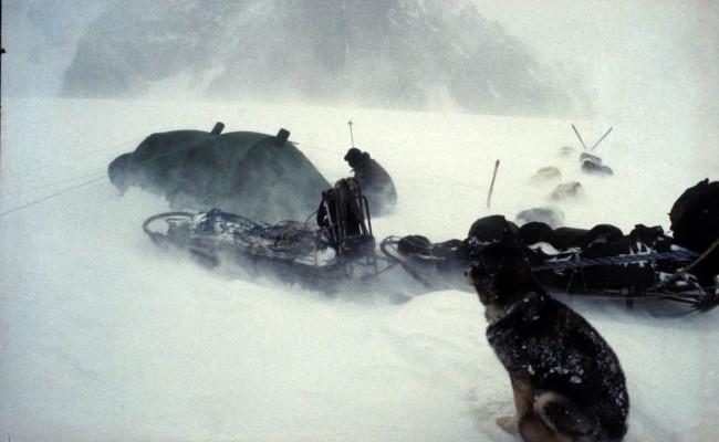 Snøstorm på Svalbard