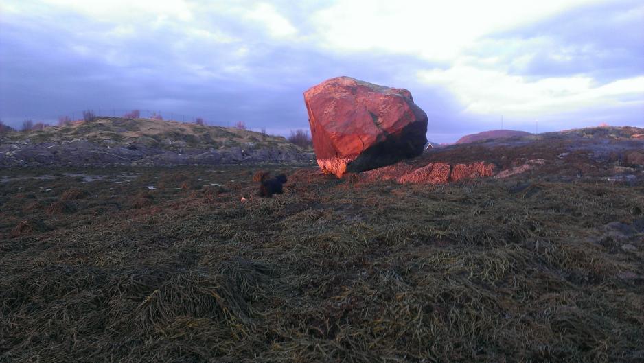 Beached boulder rock Beached boulder rock