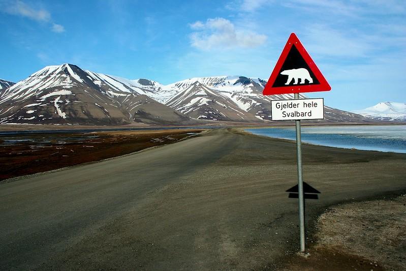 Isbjørnskilt Svalbard Isbjørnskilt Svalbard