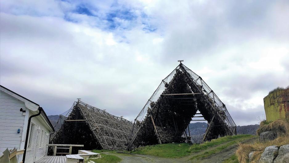 Fulle fiskehjeller i Gjesvær, Nordkapp kommune i Finnmark. (Foto: Trine Jonassen, High North News)