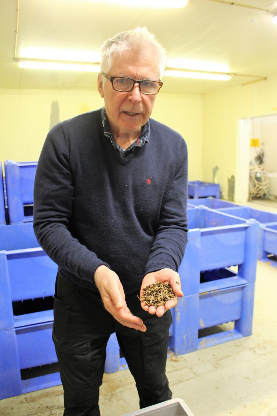 Ole Torrisen i larverommet der tusenvis av larver i forskjellige stadier holder til.