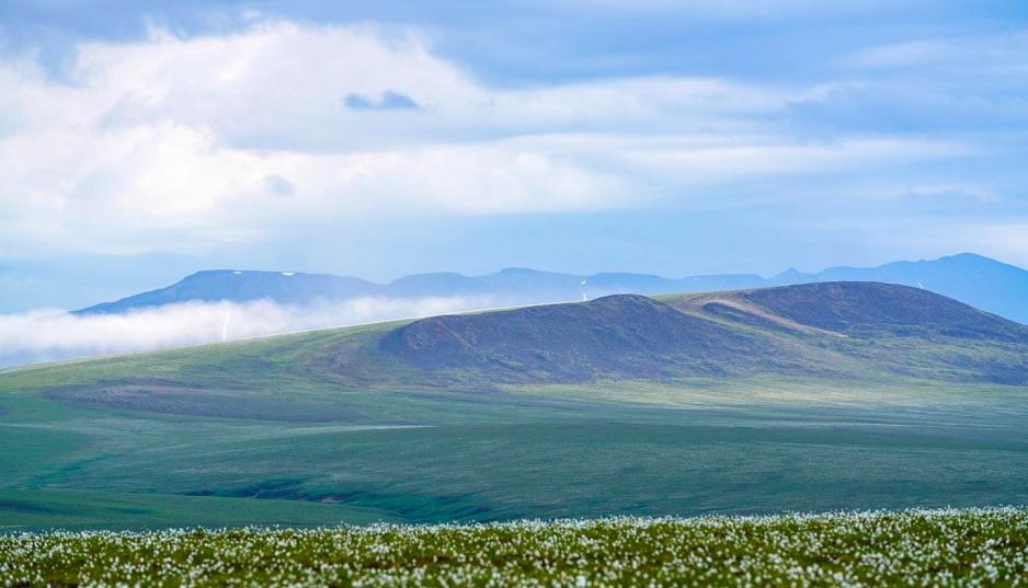 ANWR ANWR
