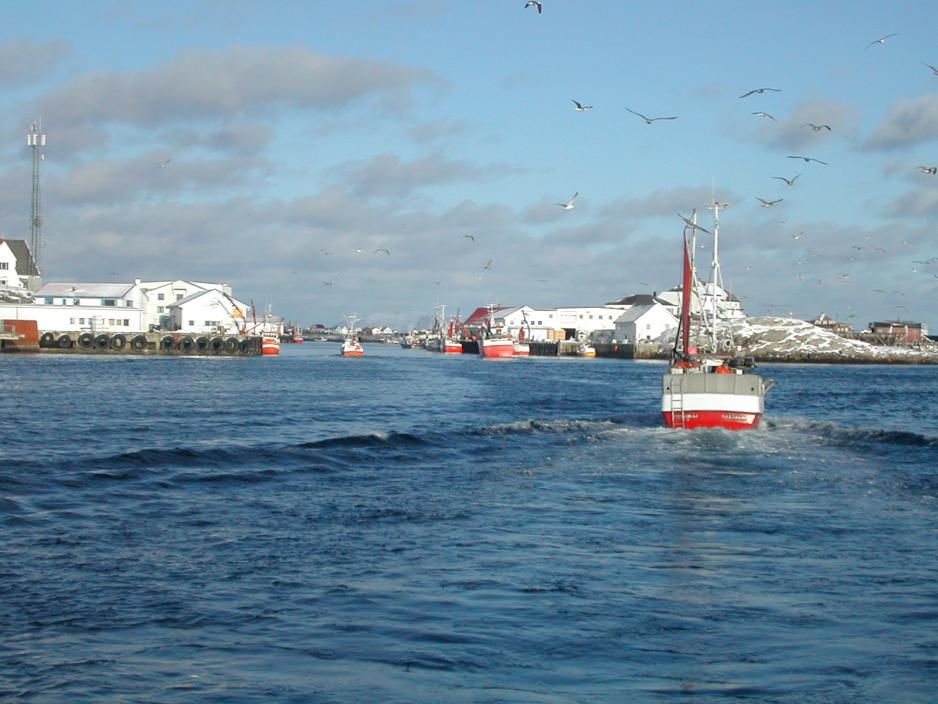 Fiskeskøyter ved Røst utenfor Lofoten. Skreifisket i Norge foregår fra januar til april da torsken svømmer fra Barentshavet i nord inn til norskekysten for å gyte. (Foto: Redningsselskapet). Fiskeskøyter ved Røst utenfor Lofoten