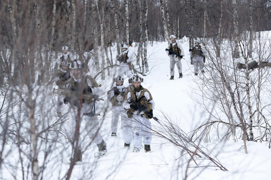 Military forces in the Arctic Military forces in the Arctic