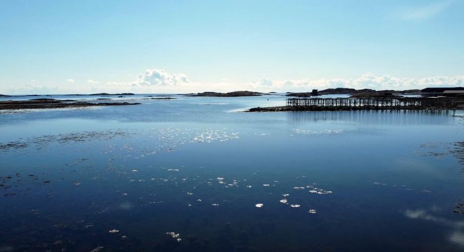 Røst. (Foto: Arne O. Holm)