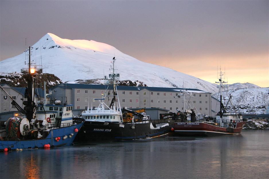 Alaska Investigates Possibilities for Commercial Fishing in Arctic Waters