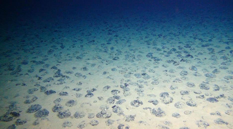 Polymetallic nodules in the Pacific. (Source: ROV-Team, GEOMAR, CC BY 4.0) Polymetallic nodules in the Pacific. (Source: ROV-Team, GEOMAR, CC BY 4.0)