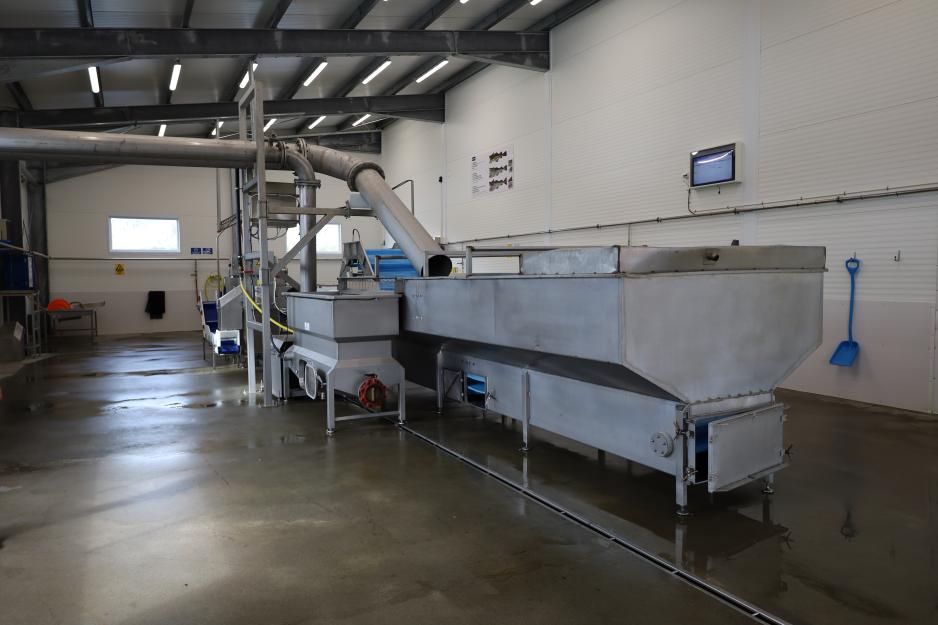 Fra produksjonsbygget ved fiskemottaket i Skårvågen