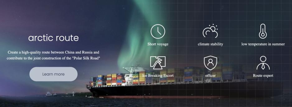 Dedicated Arctic shipping section on NewNew Shipping Line’s website. (Source: NewNew Shipping Line) newnew shipping line arctic