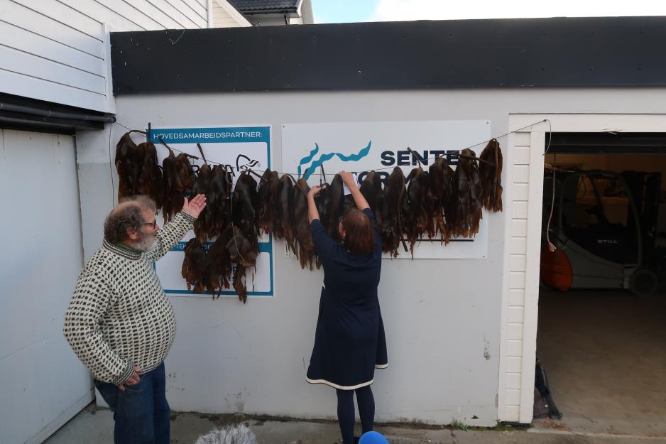 Tare Senter for Marin Restaurering