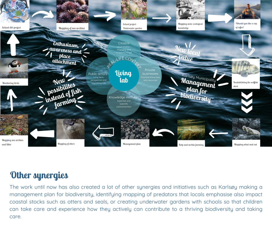 The work until now has also created a lot of other synergies and initiatives such as Karlsøy making a management plan for biodiversity, identifying mapping of predators that locals emphasise also. synergies