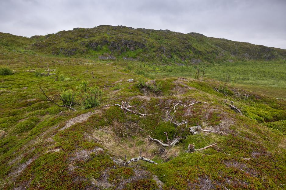 Bilde fra delområdet Gollevárre i Tana kommune, et stort anlegg for massefangst av rein. (Foto: Trond Isaksen/Riksantikvaren) Bilde fra delområdet Gollevárre i Tana kommune, et stort anlegg for massefangst av rein. (Foto: Trond Isaksen/Riksantikvaren)