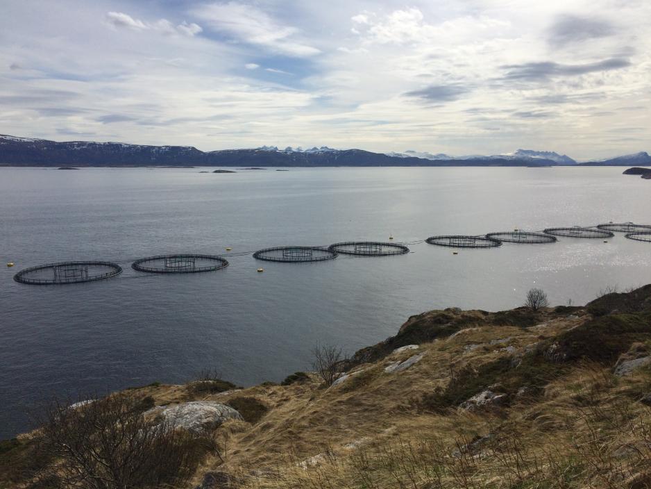 Mitt råd til Storting og regjering er; dropp grunnrenteskatten! Finn frem til ordninger som er bra for fellesskapet og bra for næringa, skriver ordfører Siv Dagny Aasvik i Hadsel. (Foto: Linda Storholm)
