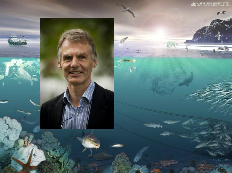 Professor of Law Geir Ulfstein at the University of Oslo