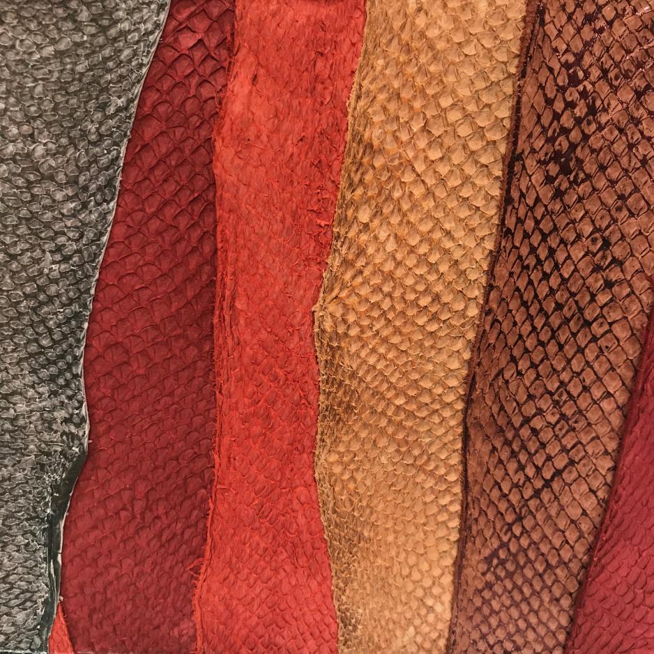 Fish leather died in a selection of colours (Photo: Ingrid Wiik)