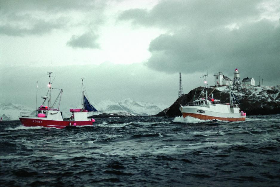 Even though the case regarding illegal catching of snow crabs is exhausted when the Supreme Court has ruled, it is nevertheless possible to imagine a public international law dispute between the EU, Norway and Latvia, according to law expert Øystein Jensen at FNI. (Illustration photo: Jean Gaumy/Norwegian Seafood Council)