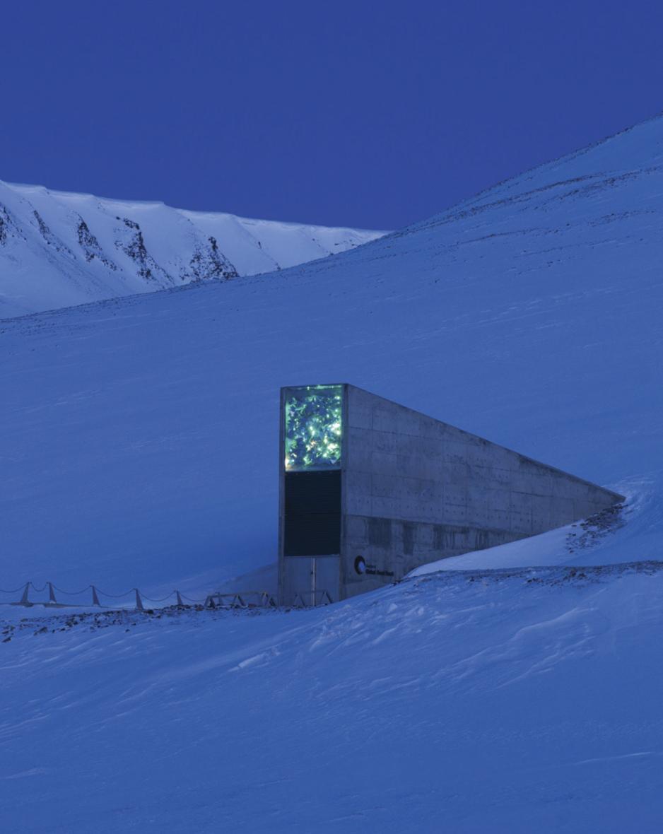 Frøhvelv, Svalbard. (Foto: Mari Tefre) Frøhvelv, Svalbard. (Foto: Mari Tefre)