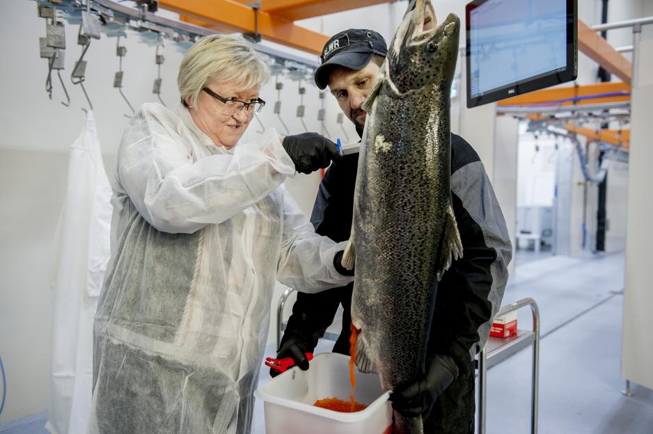 Fiskeriminister Elisabeth Aspaker gjennomførte