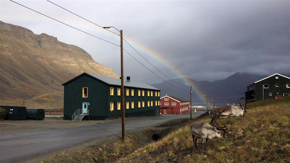 Old rockfall deposits lie close to the houses in Nybyen, according to a report from NVE. It is time for the student welfare organisation to build new and safer housing for students at UNIS, the University on Svalbard. (Photo: Norway’s Arctic Student Welfare Organisation)