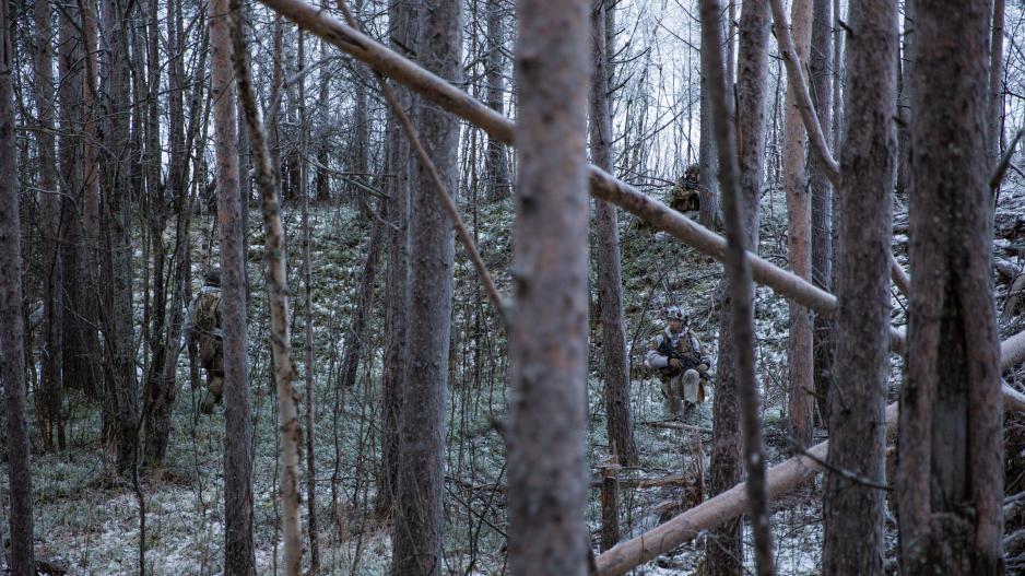 Arctic Bolt 2022: Don't see the forest in inner Troms for just trees, literally. (Photo: Synne Nilsson/the Norwegian Armed Forces) >