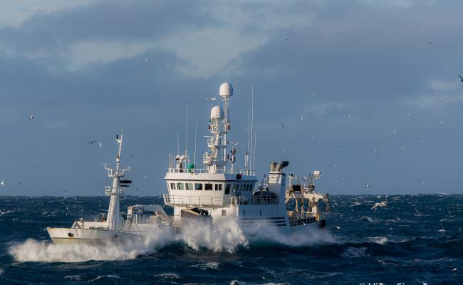 Senter for hav og Arktis skal, i samarbeid med DNV GL, kartlegge tilstanden i havnæringene i nord - og legge frem rapporter som også peker på fremtidens muligheter med havet som kilde. (Foto: Vidar Sigurdsson).