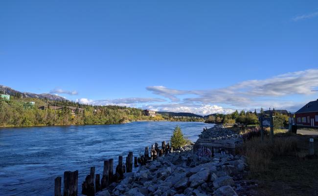 A view of the Yukon River as it runs through downtown Whitehorse, Yukon. (Photo: Desiree Hauswald for High North News)