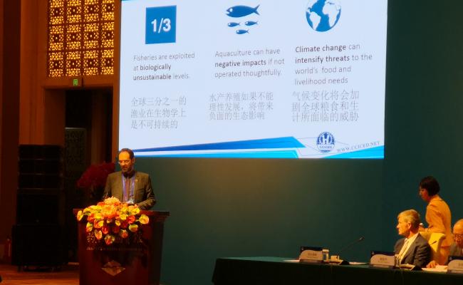 Fagdirektør ved Norsk Polarinstitutt, Jan-Gunnar Winther, er med i rådet CCICED. Her fra det nylig avholdte årsmøtet der rådet leverte sitt første sett med anbefalinger til de kinesiske myndighetene. (Foto: Birgit Njåstad/Norsk Polarinstitutt).