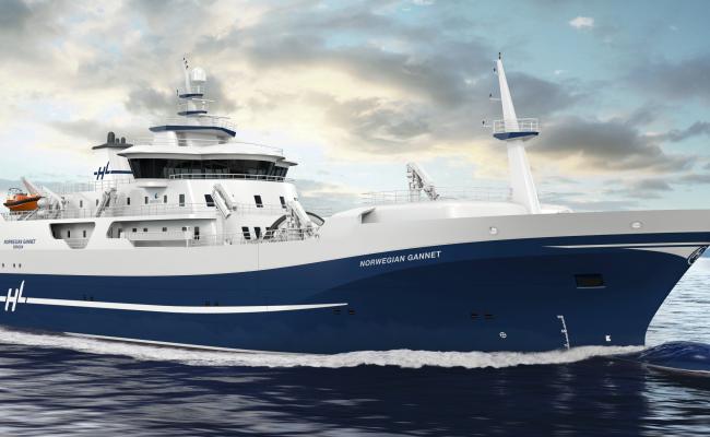 Slakteskipet Norwegian Gannet setter sinnene i bevegelse langs kysten. Noen mener det truer den kystnære oppdrettsnæringens eksistens, mens andre fremhever dyrevelferd, norsk omdømme, produktkvalitet og trafikksikkerhet som positive bidrag fra nyvinningen. (Illustrasjon: Wärtsliä).