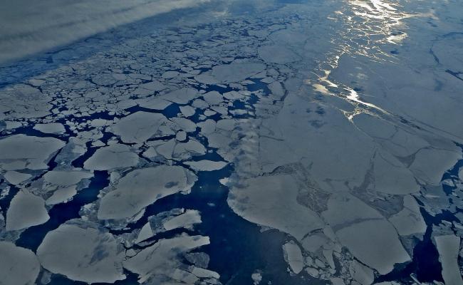 Arctic sea ice