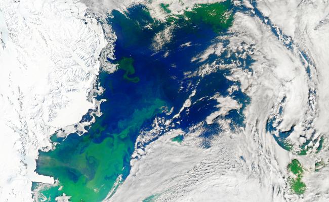 Springtime in Polar waters.