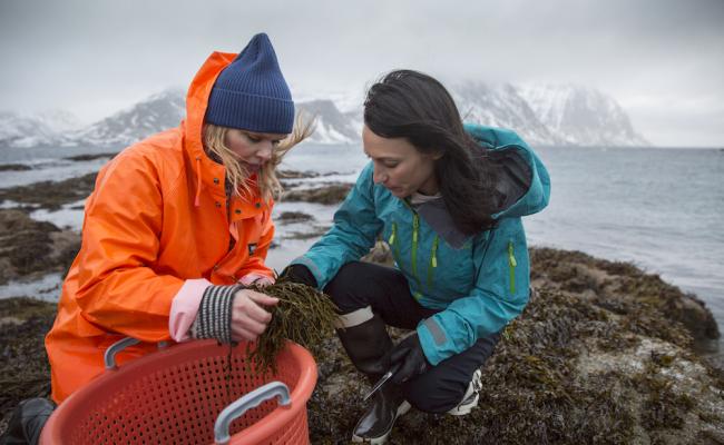Angelita Eriksen og Tamara Singer i Lofoten Seaweed