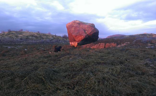 Beached boulder rock