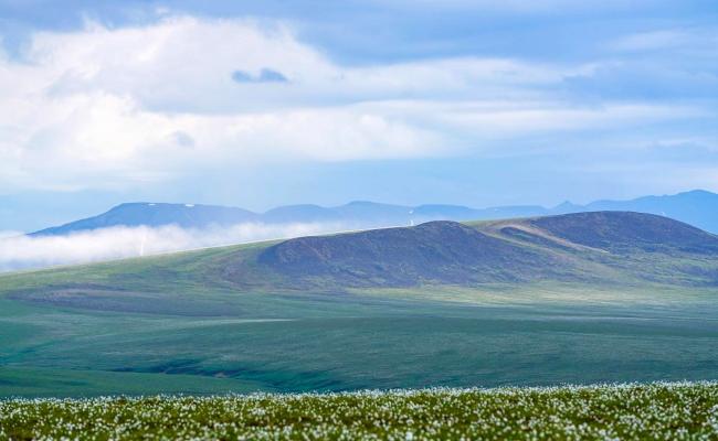 ANWR ANWR